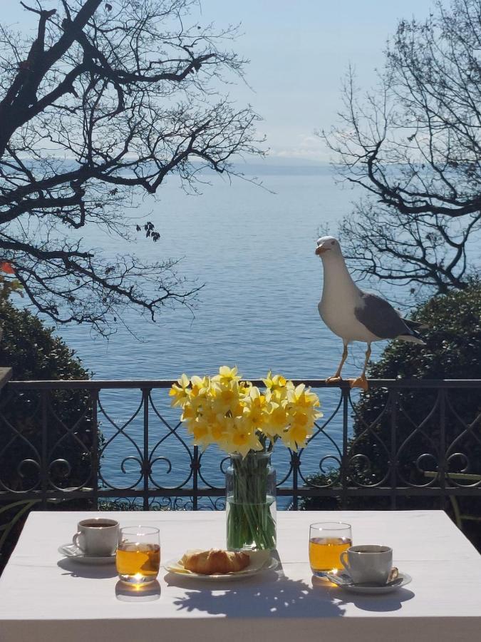 ホテル ヴィラ アストラ ロヴラン エクステリア 写真